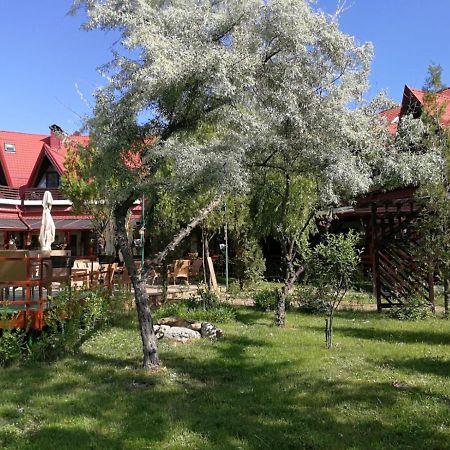 Hotel Pensiunea Casa Matei à Berca Extérieur photo