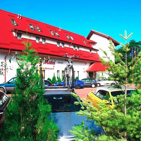 Hotel Pensiunea Casa Matei à Berca Extérieur photo