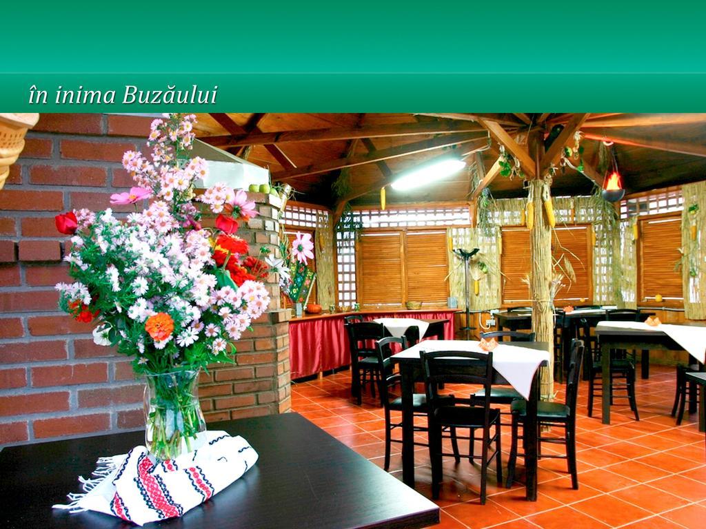 Hotel Pensiunea Casa Matei à Berca Extérieur photo