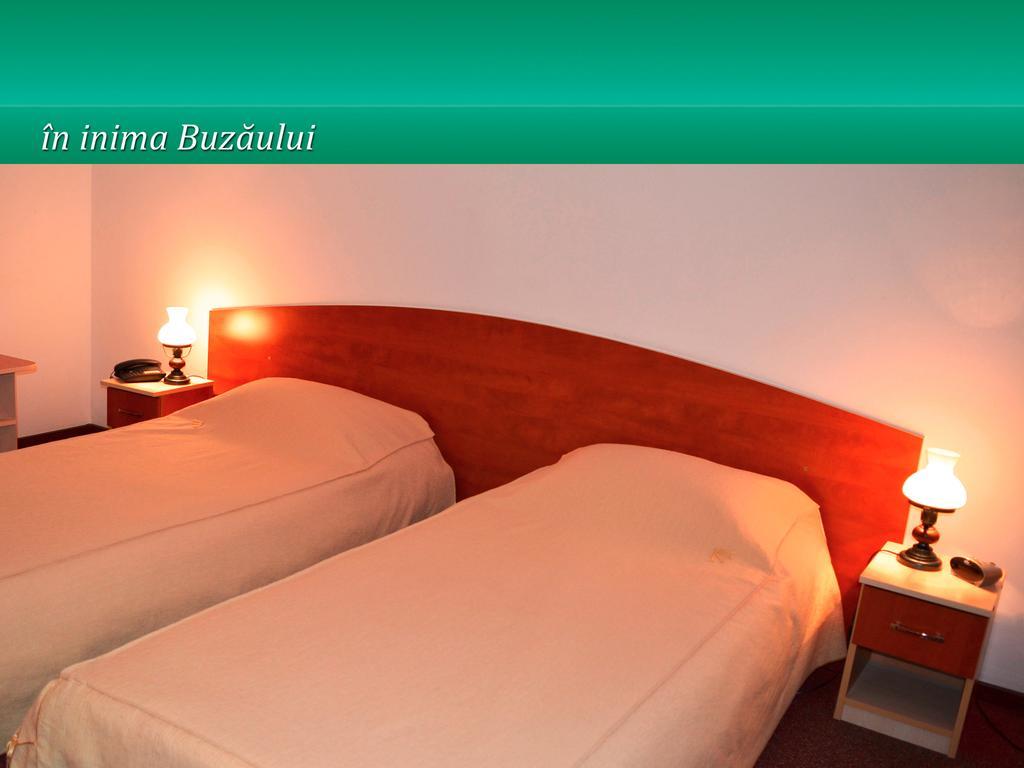 Hotel Pensiunea Casa Matei à Berca Chambre photo